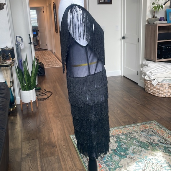 California Costume Collections Black Fringe Sequin Flapper Dress - Picture 4 of 8